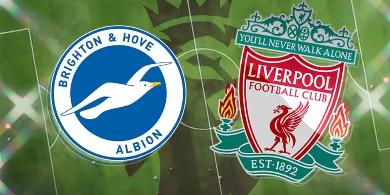 Dự đoán kết quả kèo vàng bóng đá hôm nay của Brighton vs Liverpool