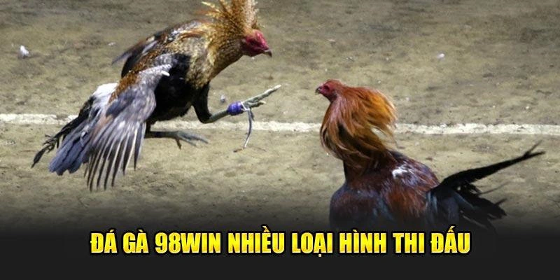 Chọi kê 98WIN hội tụ nhiều hình thức thi đấu đặc sắc nhất