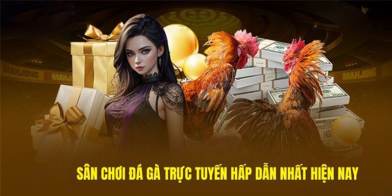 Ưu điểm của trực tiếp đá gà C1