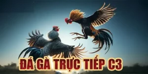 Trực tiếp đá gà C3